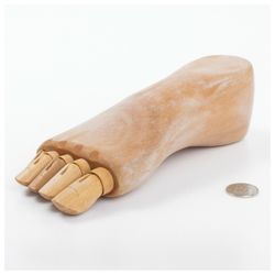 BRAUBERG / Wooden figure "Anatomical details: Right male foot"