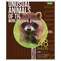 HATBER / Notebook А5 48 p. -ECO, bracket, cage, cardboard cover, "Animals" / 10 pcs.