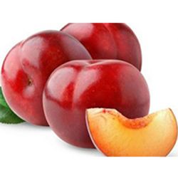 Plum fresh