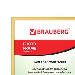 Frame 30*40 cm, пластик, багет 12 mm, BRAUBERG HIT2, золото, стекло