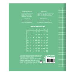 BRAUBERG / Notizbuch 18 J. ECO "5-KA", Käfig, Deckel dickes gestrichenes Papier, GRÜN / 20 Stk.
