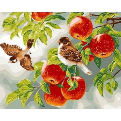 Опт-картина / Painting by numbers 40x50 Sparrows on an apple tree
