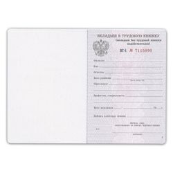 Goznak / Form of the document "Insert in the work book", 88x125 mm