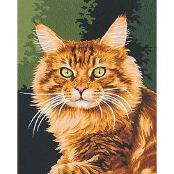 Опт-картина / Numaralara göre boyama 20x30 Kedi