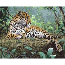 Опт-картина / Painting by numbers 40x50 Leopard