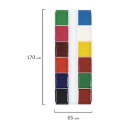 Paint watercolor ONLANDIA "JOLLY BEE" honey, 12 colors, CLASSIC, cardboard