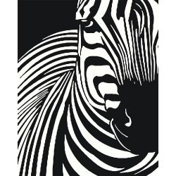 Опт-картина / Numaraya göre Boya CAKADU 40x50 Zebra