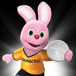 DURACELL / Batteries Lithium CR2025, lithium, KIT 2 pcs in a blister