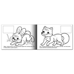 Coloring book A5, 4 sheets, HATBER with stickers, My first lessons, "Wild Animals"