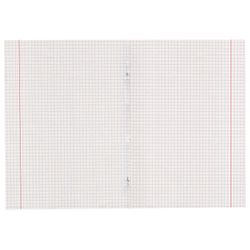 ПИФАГОР / Notebook A5, 48 sh., Cage, offset No. 2 ECONOMY, cardboard cover, "SLEEPY ANIMALS" / 10 pcs.