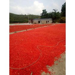 DRIED CHILI