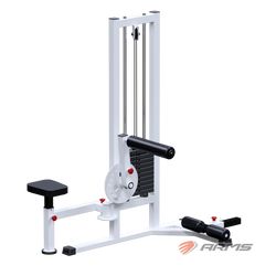 ARMS / Abdominal Trainer