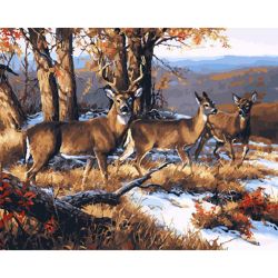 Опт-картина / Malen nach Zahlen 40x50 Hirsch im Wald