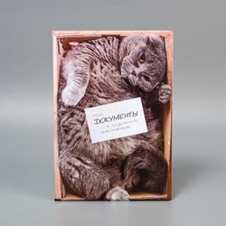 Сималенд / Folder for family documents "Family documents"