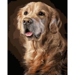 Опт-картина / Paint by number 40x50 Retriever