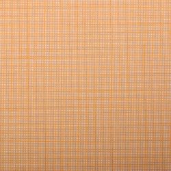 Лилия Холдинг / Scale-coordinate paper 878 mm