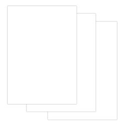BIG FORMAT (297x420 mm) A3, 24 sheets, 200 g/m2, no frame, VATman GONAKNAK KBF, BRAUBERG