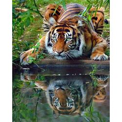 Опт-картина / Pintura por números 40x50 Tigre por el agua