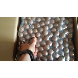 WALNUT MACADAMIA BIG SIZE from the MANUFACTURER