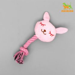 Пижон / Dude / Soft toy for dogs "Bunny with a rope", with a squeaker, 18 cm, pink