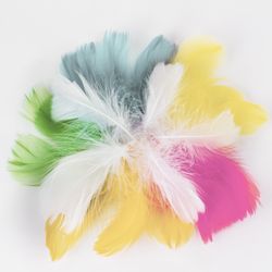 Piume decorative "Carnevale", 5-8 cm, 24 pz., 6 colori, pastello, assortiti, ISOLA DEI TESORI