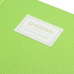 BRAUBERG / Diary 1-11 grade 48 y., Leatherette cover (hard), patch, "BRILLIANT", green / 10 pcs.
