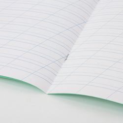 BRAUBERG / Notebook GREAT NAMES. Yesenin S.A., 12 y. oblique line, thick paper 80 g / m2, tinted offset cover / 20 pcs.