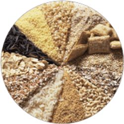 Feed Products