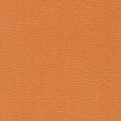 GARTLEX / Sofa soft double "Host" M-43, 1200x620x780 mm, without armrests, eco-leather, orange