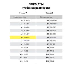 BRAUBERG / Accounting form, offset, "Receipt cash order", A5, 135x195 mm, SPIKE 100 pcs.