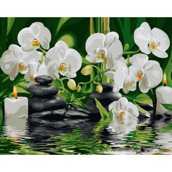 Опт-картина / Pintura por números 40x50 Orquídeas blancas