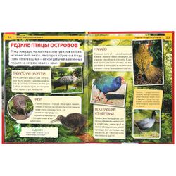 Умка / Encyclopédie "Animaux" du livre rouge