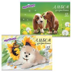 ЮНЛАНДИЯ / Album for drawing "Dogs" (2 types), 200x283 mm, 12 sheets A4, staple, cardboard cover, with coloring