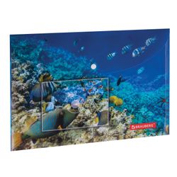 Thư mục phong bì có nút BRAUBERG "SEA WORLD", khổ A4, 160 micron, tối đa 100 tờ, in màu