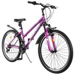 PROGRESS / Bicycle "Ingrid Pro" size 17