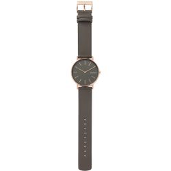 Skagen / Signatur SKW2794 watch
