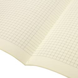 BRAUBERG / Notebook 40 l. checkered cover SoftTouch, beige paper 70 g / m2, stitching, А5 (147х210 mm), BUGS / 10 pcs.