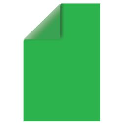 Cartone colorato A4 Colorato sfuso, 50 fogli, VERDE, pellicola, 220 g / m2, BRAUBERG, 210х297 mm