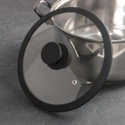 Доляна / Doliana / Glass lid for frying pan and casserole with silicone rim and handle, d = 22 cm, black color