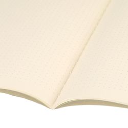 BRAUBERG / Notebook 60 l. point to point cover SoftTouch, beige paper 70 g / m2, stitching, B5 (179x250 mm), UNITS / 4 pcs.