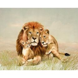Опт-картина / Painting by numbers 40x50 Friendly family