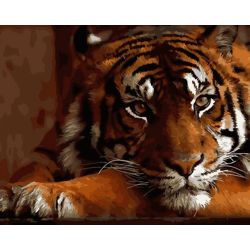 Опт-картина / Pintura por números 40x50 Pensamientos de un tigre