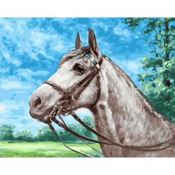 Опт-картина / Painting by numbers 40x50 White horse