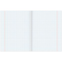 BRAUBERG / Notebook subject "COLLAGE" 48 sheets, TWIN varnish, GEOGRAPHY, cage, tip / 10 pcs.