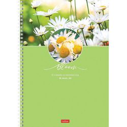 HATBER / Notebook A4 96 pages comb, cage, cardboard cover, "Beauty of Blossom" / 8 pcs.