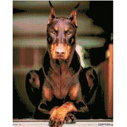 Опт-картина / Elmas mozaik, 40x50, kare Doberman yapay elmaslar