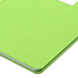BRAUBERG / Diary 1-11 grade 48 y., Leatherette cover (hard), patch, "BRILLIANT", green / 10 pcs.