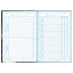 BRAUBERG / Tagebuch für eine Musikschule 48 J., Hard, Nachschlagewerk, Melodie / 10 Stk.
