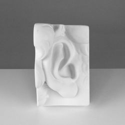 Мастерская Экорше / Plaster figure "David's ear, right"