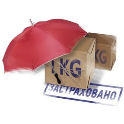Shark Cargo Insurance